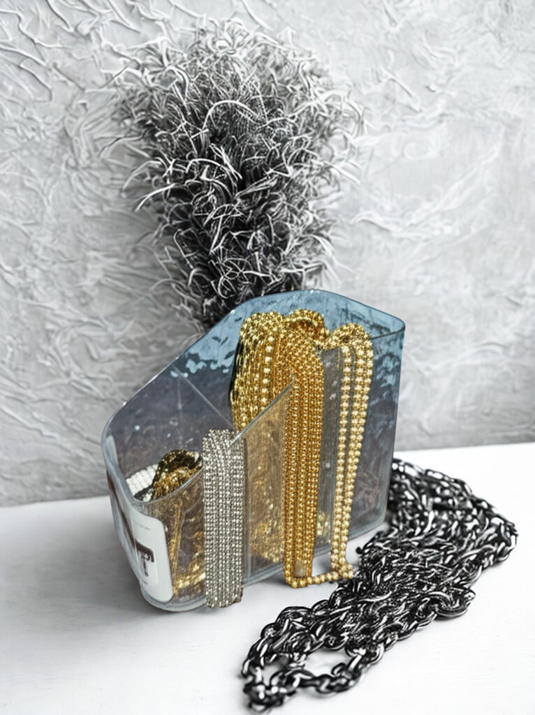 Transparent Multipurpose Organizer